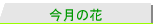 oב̌